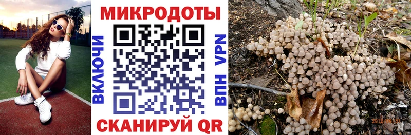 наркотики  Екатеринбург  Галлюциногенные грибы ЛСД 